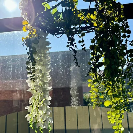 Naujos Statybos Namelis *