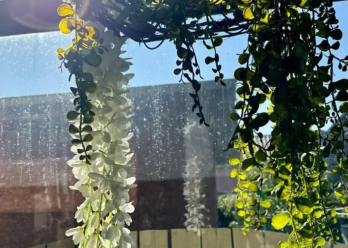 Naujos Statybos Namelis *