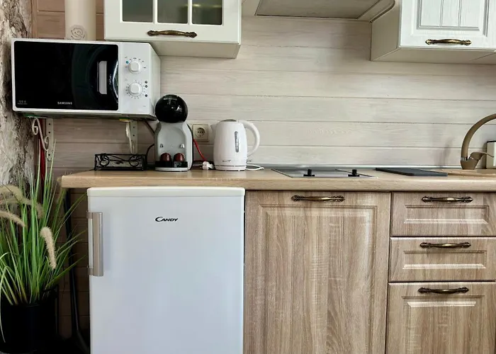 Prázdninový dům Naujos Statybos Namelis Palanga